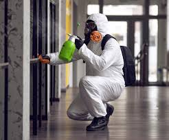 Reliable Franklin, OH Mold Removal Services Solutions